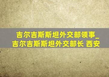 吉尔吉斯斯坦外交部领事_吉尔吉斯斯坦外交部长 西安